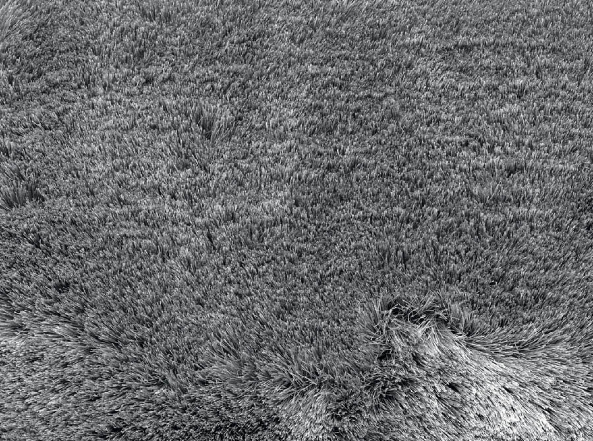 Preproga Sitap ASTER GREY