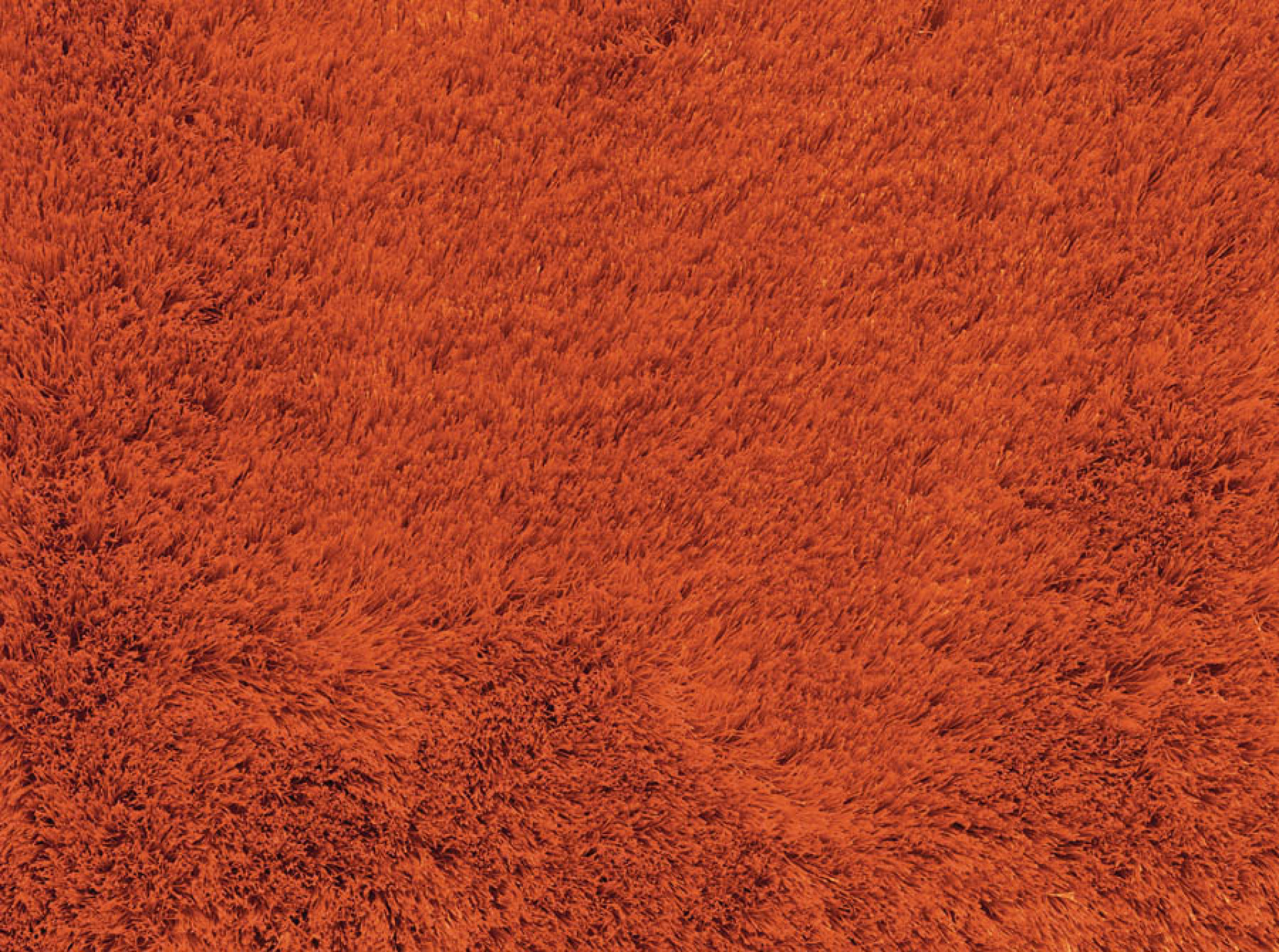 Preproga Sitap ASTER ORANGE