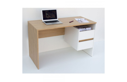 Računalniška miza LINI