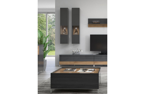 VISEČA VITRINA RADDA ONYX Z OSVETLITVIJO